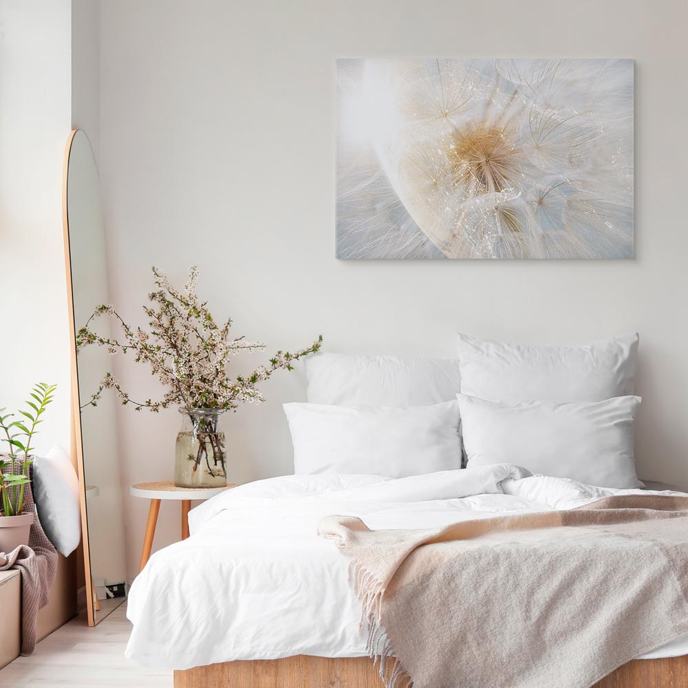 Sunlit Dandelion Nature Canvas Print