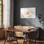 Sunlit Dandelion Nature Canvas Print