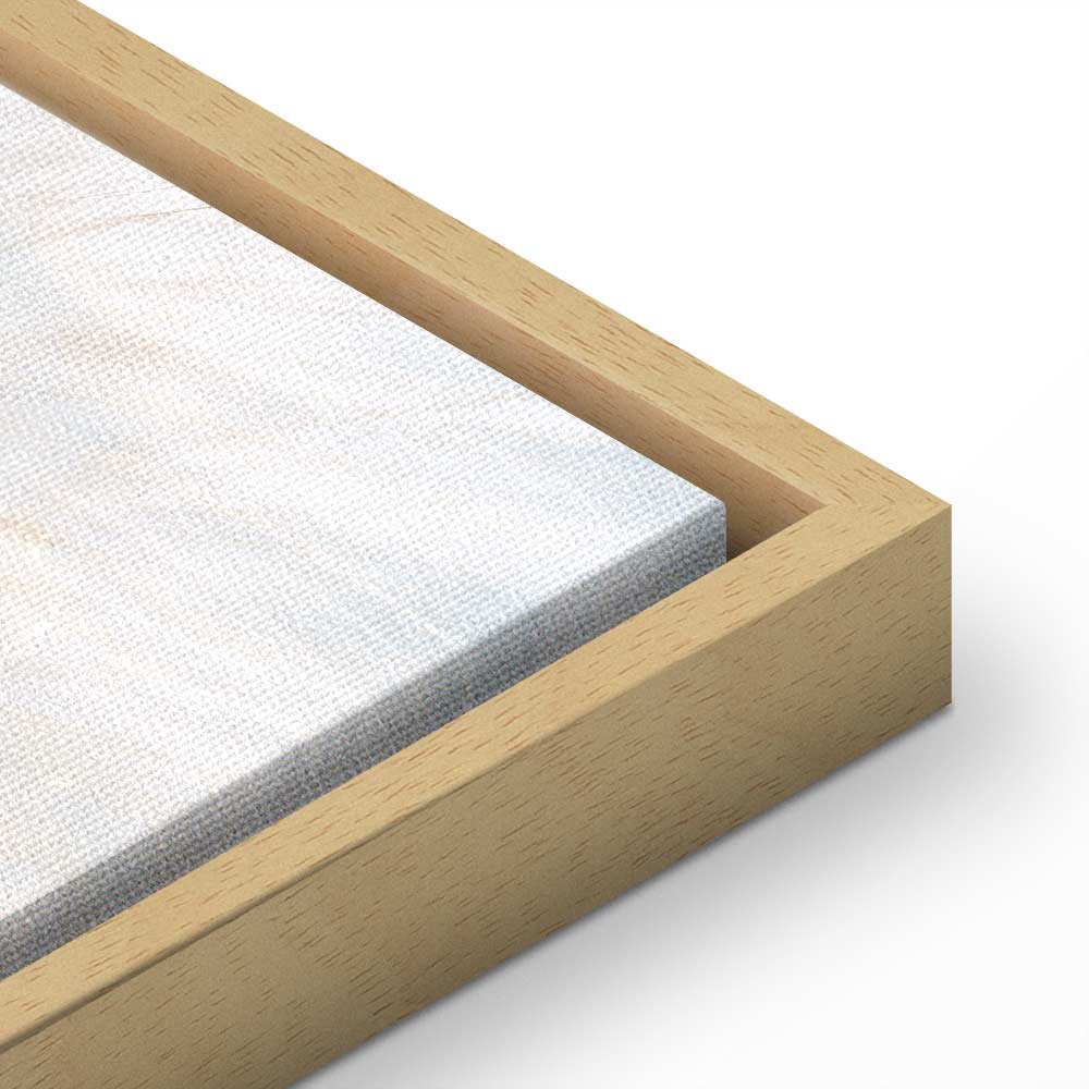 Sunlit Dandelion Nature Canvas Print