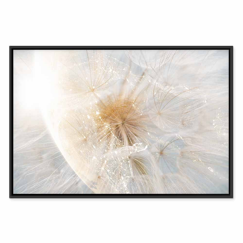 Sunlit Dandelion Nature Canvas Print