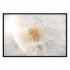 Sunlit Dandelion Nature Canvas Print