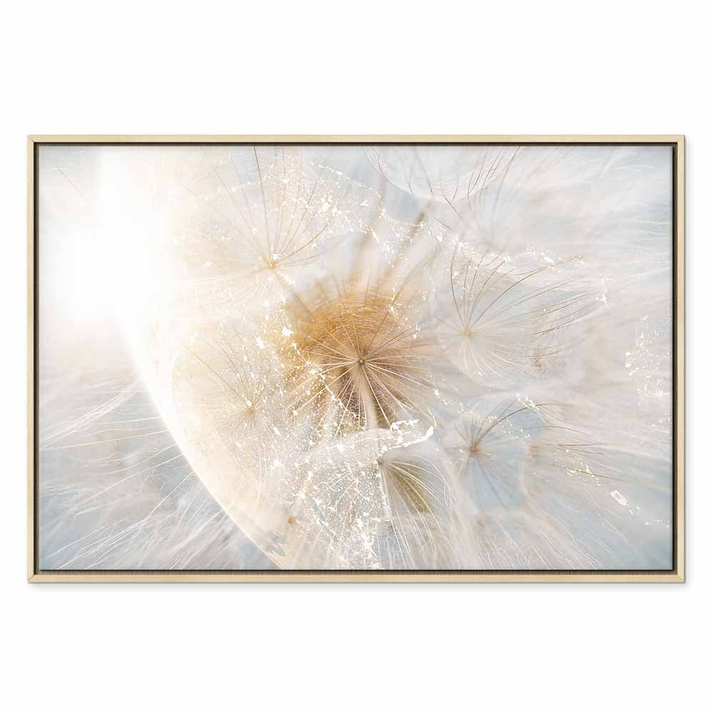 Sunlit Dandelion Nature Canvas Print