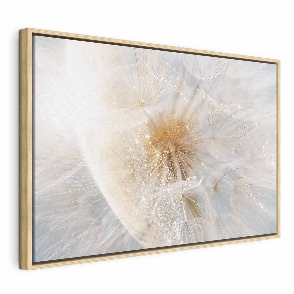 Sunlit Dandelion Nature Canvas Print