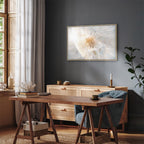 Sunlit Dandelion Nature Canvas Print