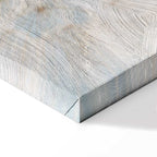 Sunlit Dandelion Nature Canvas Print