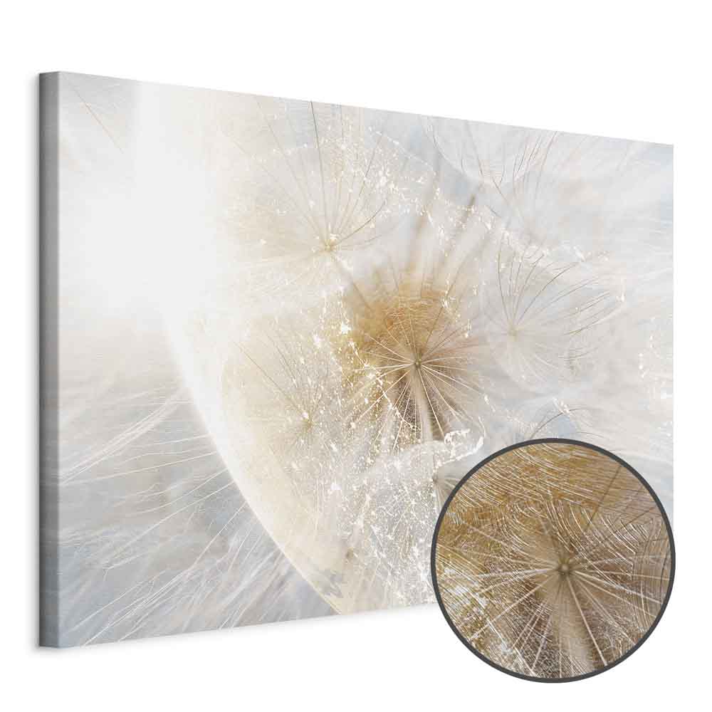 Sunlit Dandelion Nature Canvas Print