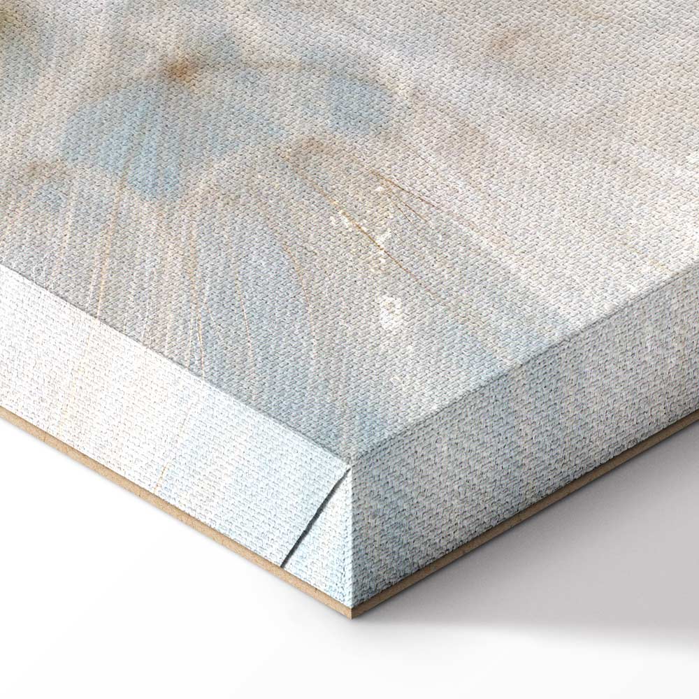 Sunlit Dandelion Nature Canvas Print