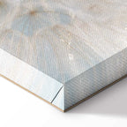 Sunlit Dandelion Nature Canvas Print