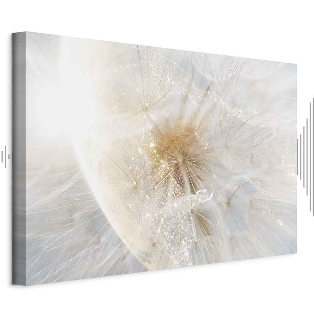 Sunlit Dandelion Nature Canvas Print