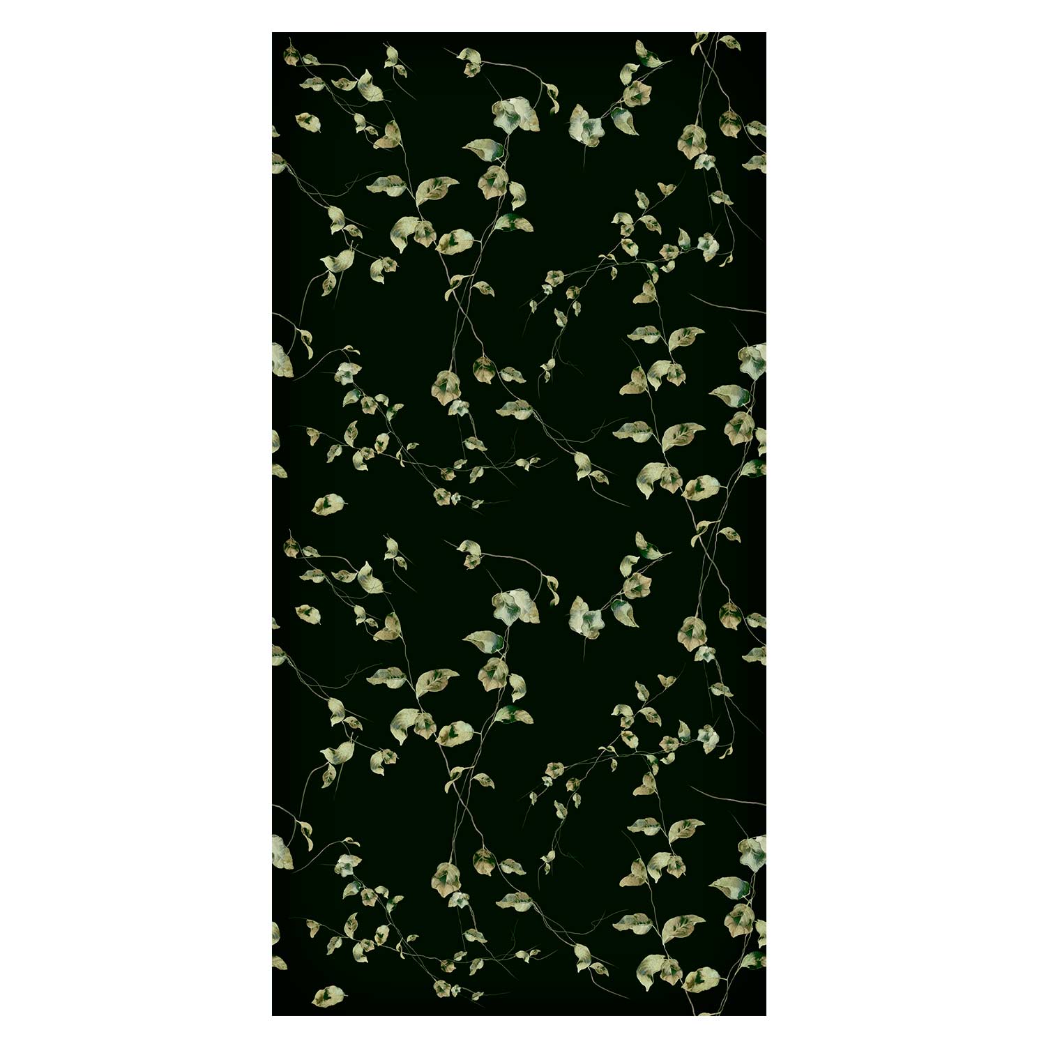 Evening Floral Leaves Nature Wallpaper