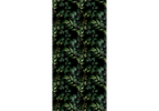 Leaves Wallpaper - Green