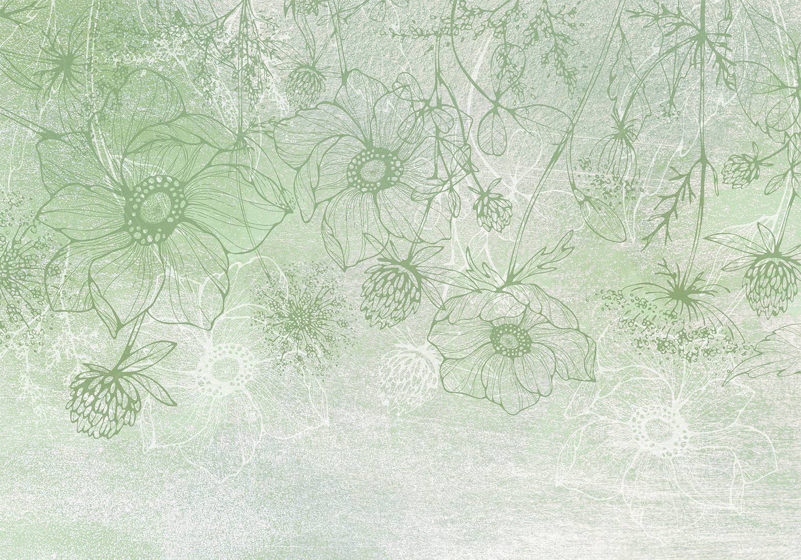 Wall Mural Flowery Meadow Nature Lineart on Green Background