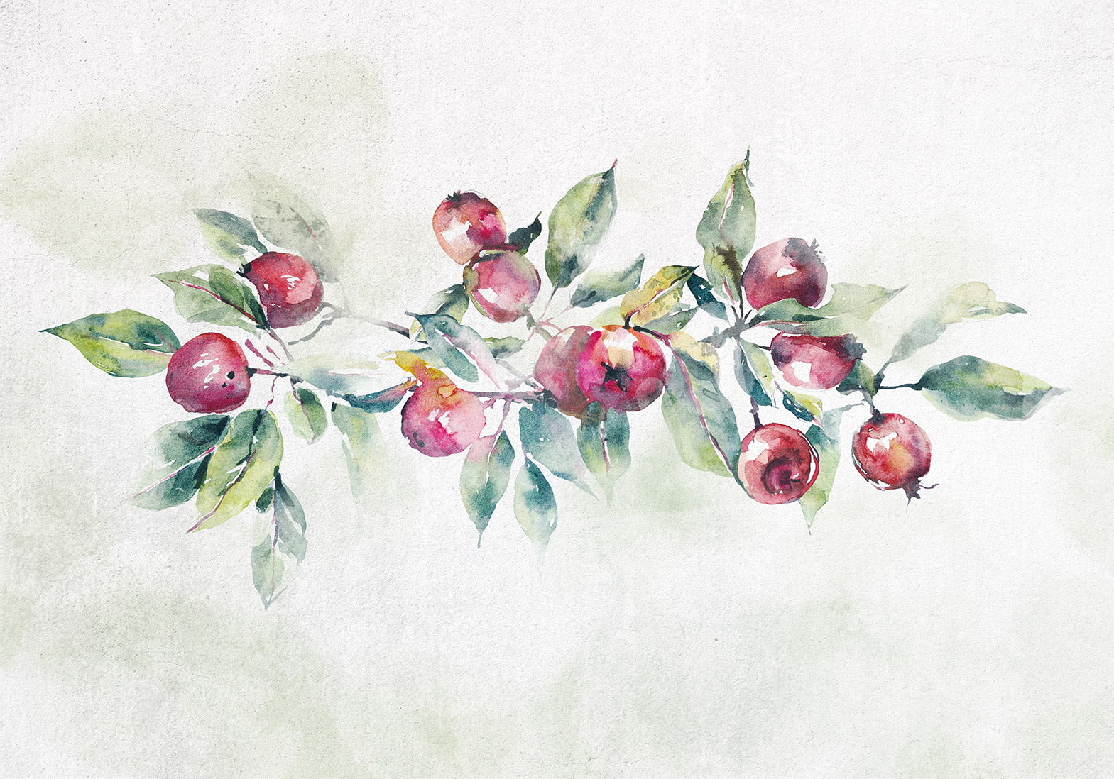 Wall Mural Apple Branch Leaves