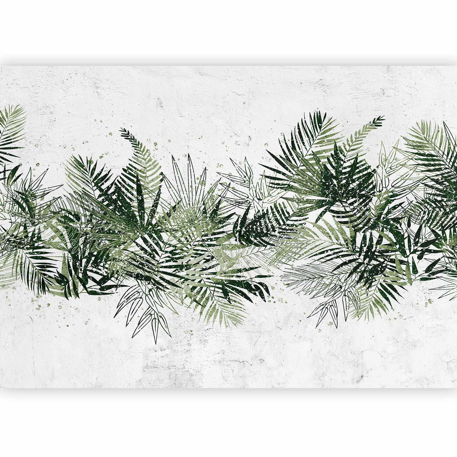 Wall Mural Jungle Leaves with Green Plume on White Background