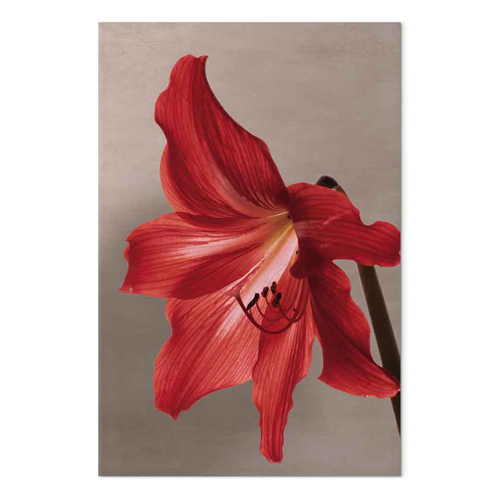 Red Flower Floral Canvas Print