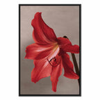 Red Flower Floral Canvas Print