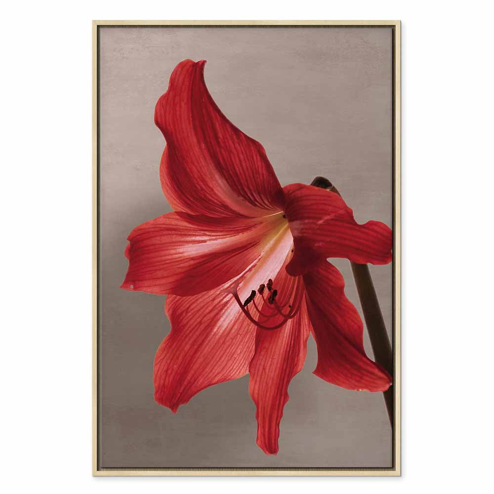 Red Flower Floral Canvas Print