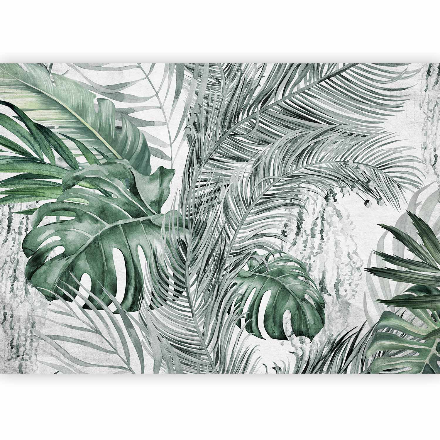 Wall Mural Dense Jungle