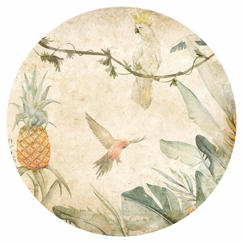 Parrots Jungle Leaves Round Wall Murals