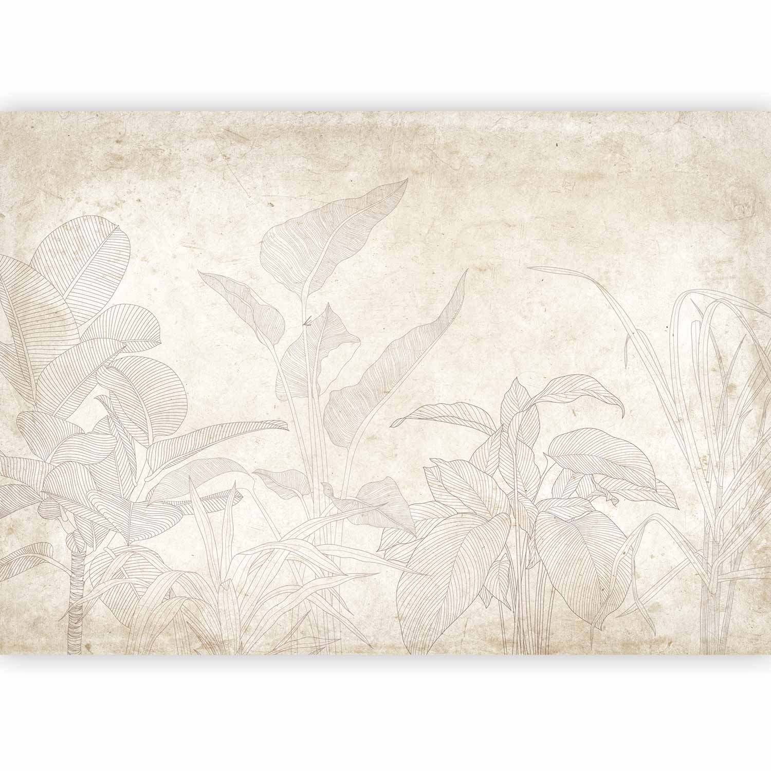 Wall Mural Subtle Exotic Plants Leaves
