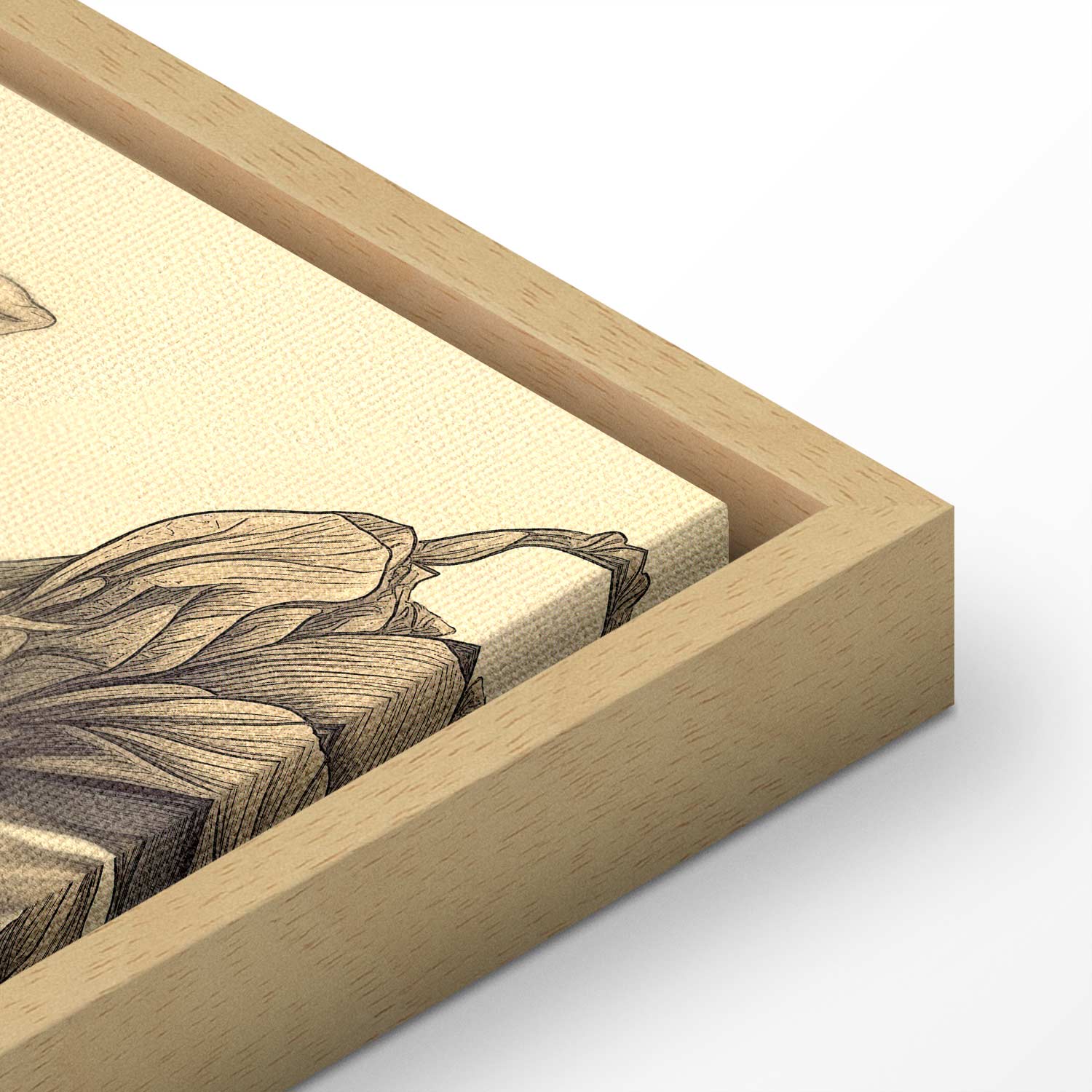 Colourful Tulips on Cream Floral Canvas Print