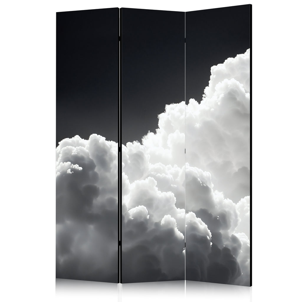 Room Divider - 135x172 Double-Sided Black and White