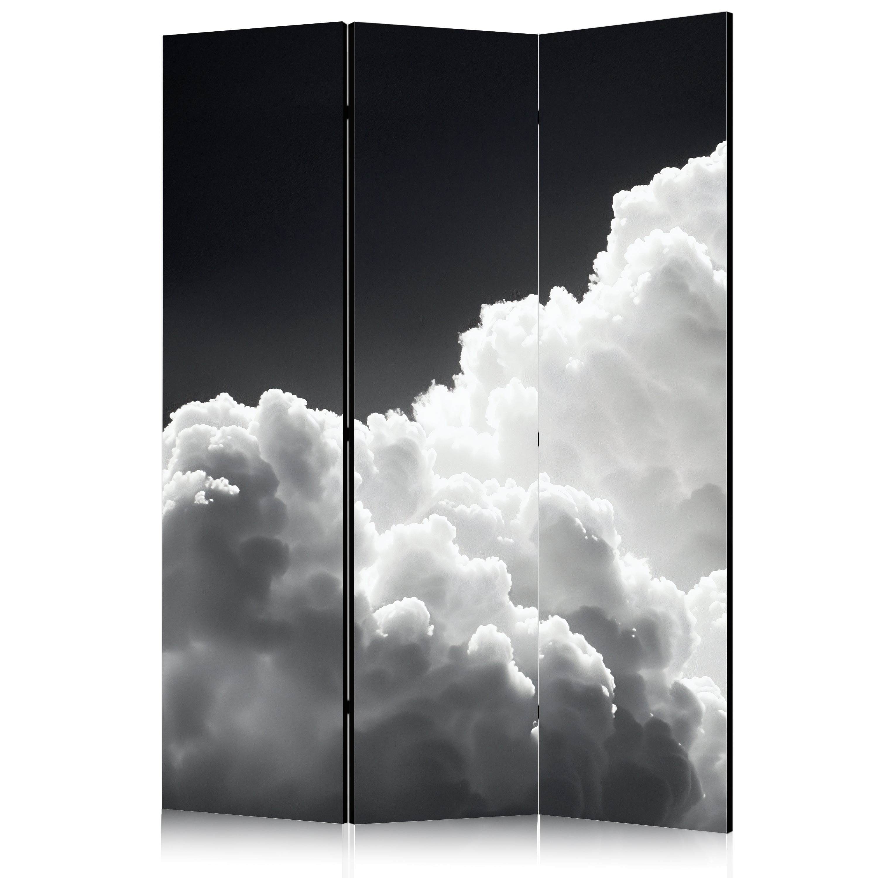 Room Divider - 135x172 Double-Sided Black and White