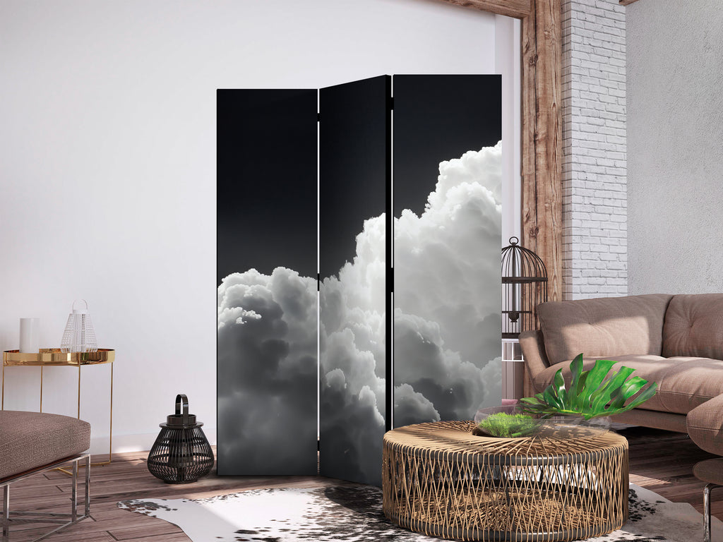 Room Divider - 135x172 Double-Sided Black and White