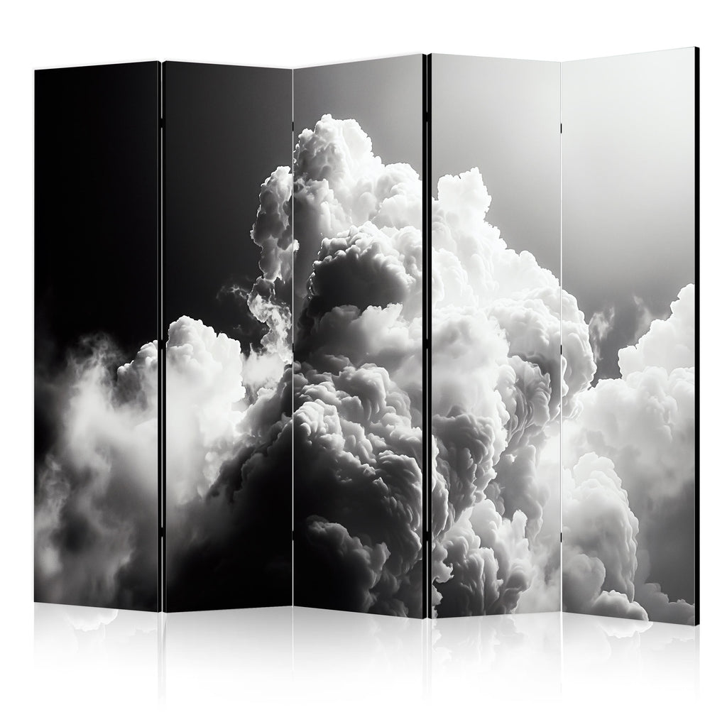 Room Divider Clouds Like a Dream - 5-Panel Landscape