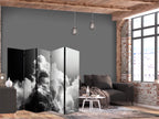 Room Divider Clouds Like a Dream - 5-Panel Landscape