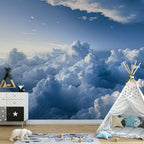 Wall Mural: Aerial Landscapes with Rays