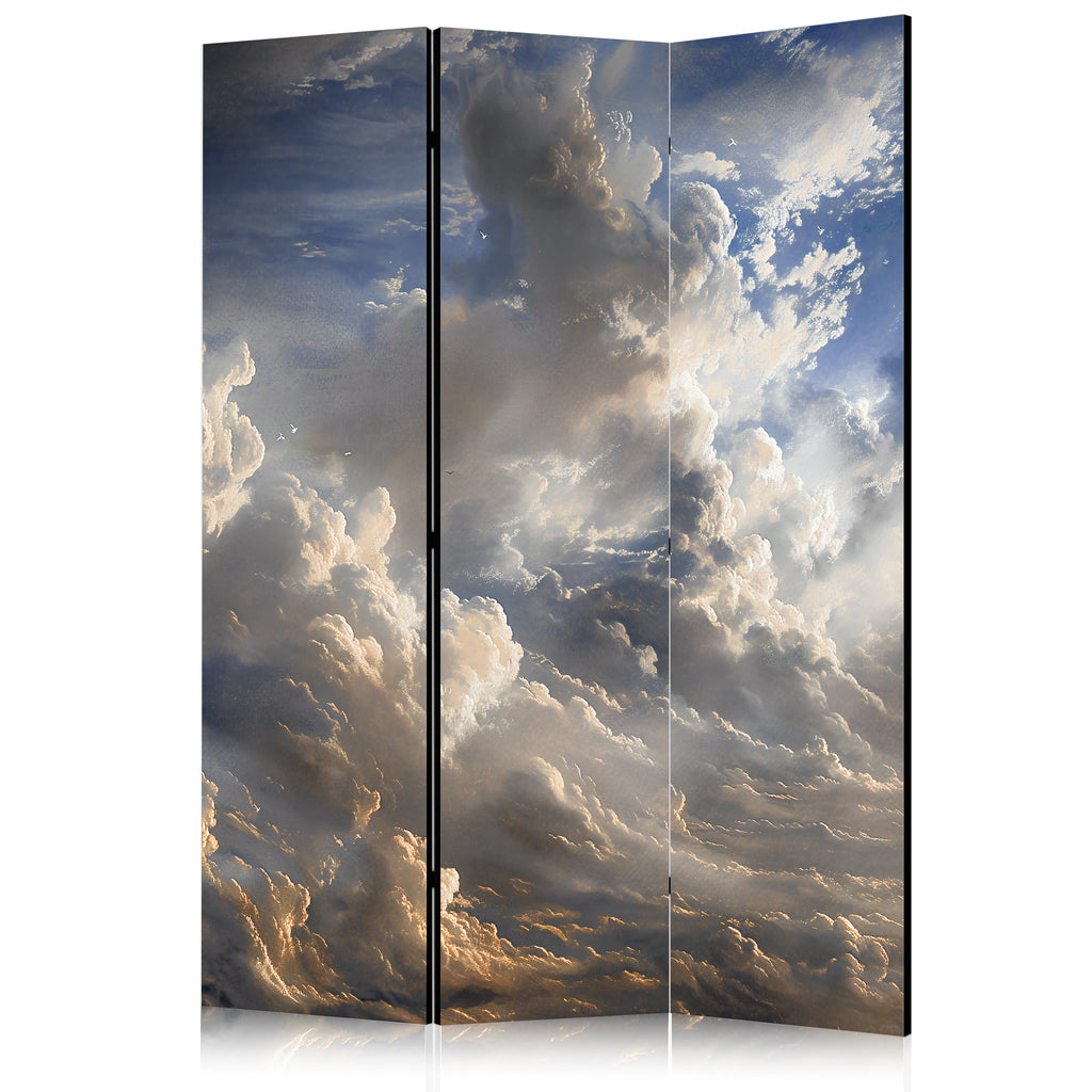 Room Divider - Golden Reflections on Clouds Foretelling Dusk Grey 135x172 Double-sided