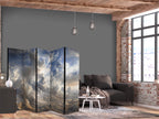 Room Divider with Golden Reflections on Clouds