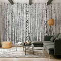 Birch Forest Nature Wall Mural