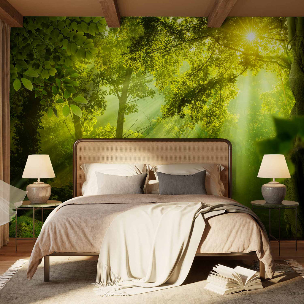 Secret Forest Trees Nature Wall Mural