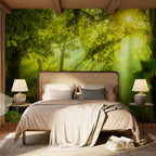 Secret Forest Trees Nature Wall Mural