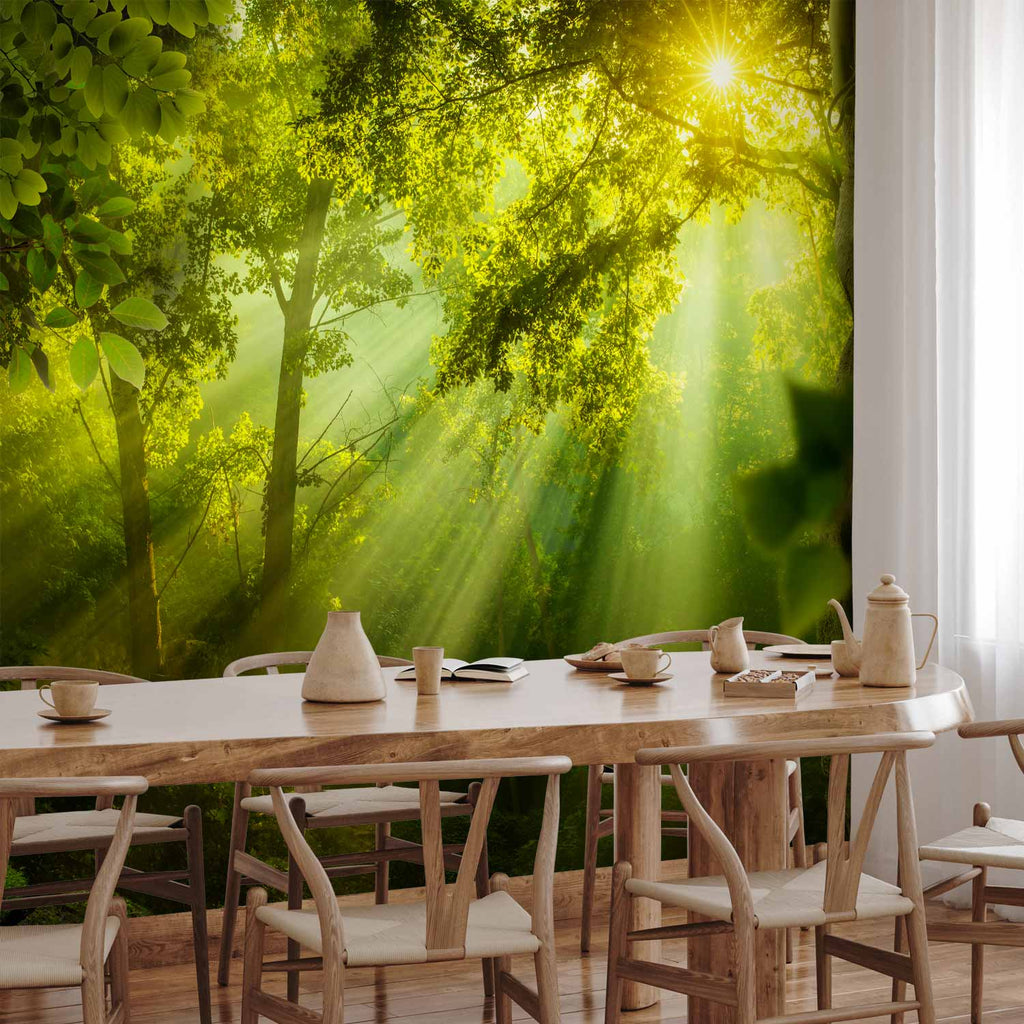 Secret Forest Trees Nature Wall Mural