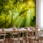 Secret Forest Trees Nature Wall Mural