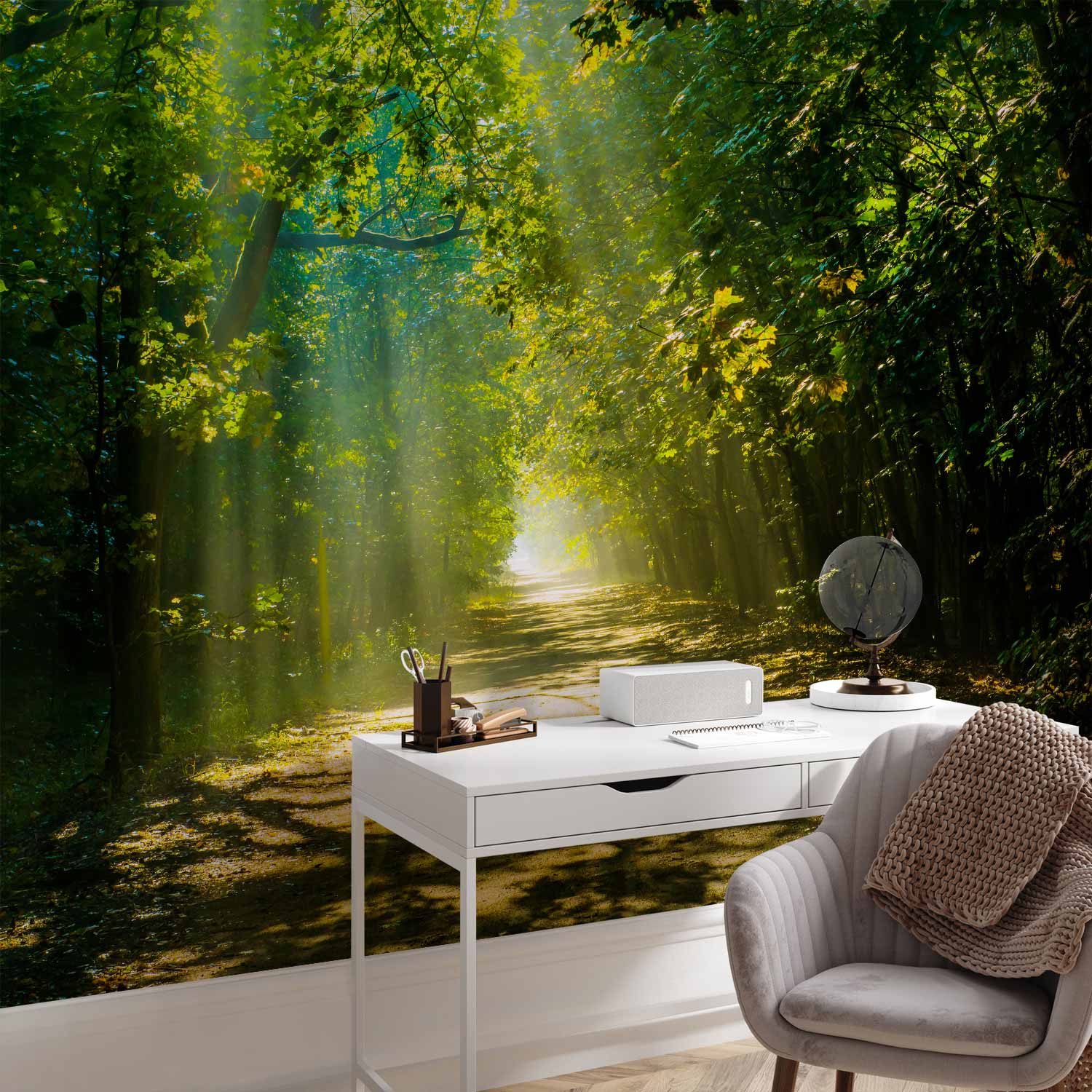 Forest Road in Sunlight Wall Mural