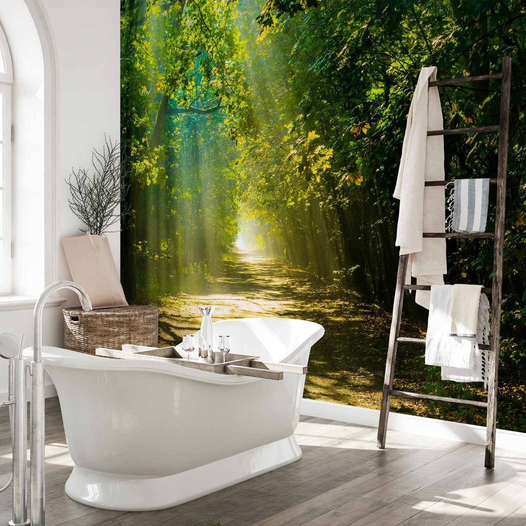 Forest Road in Sunlight Wall Mural