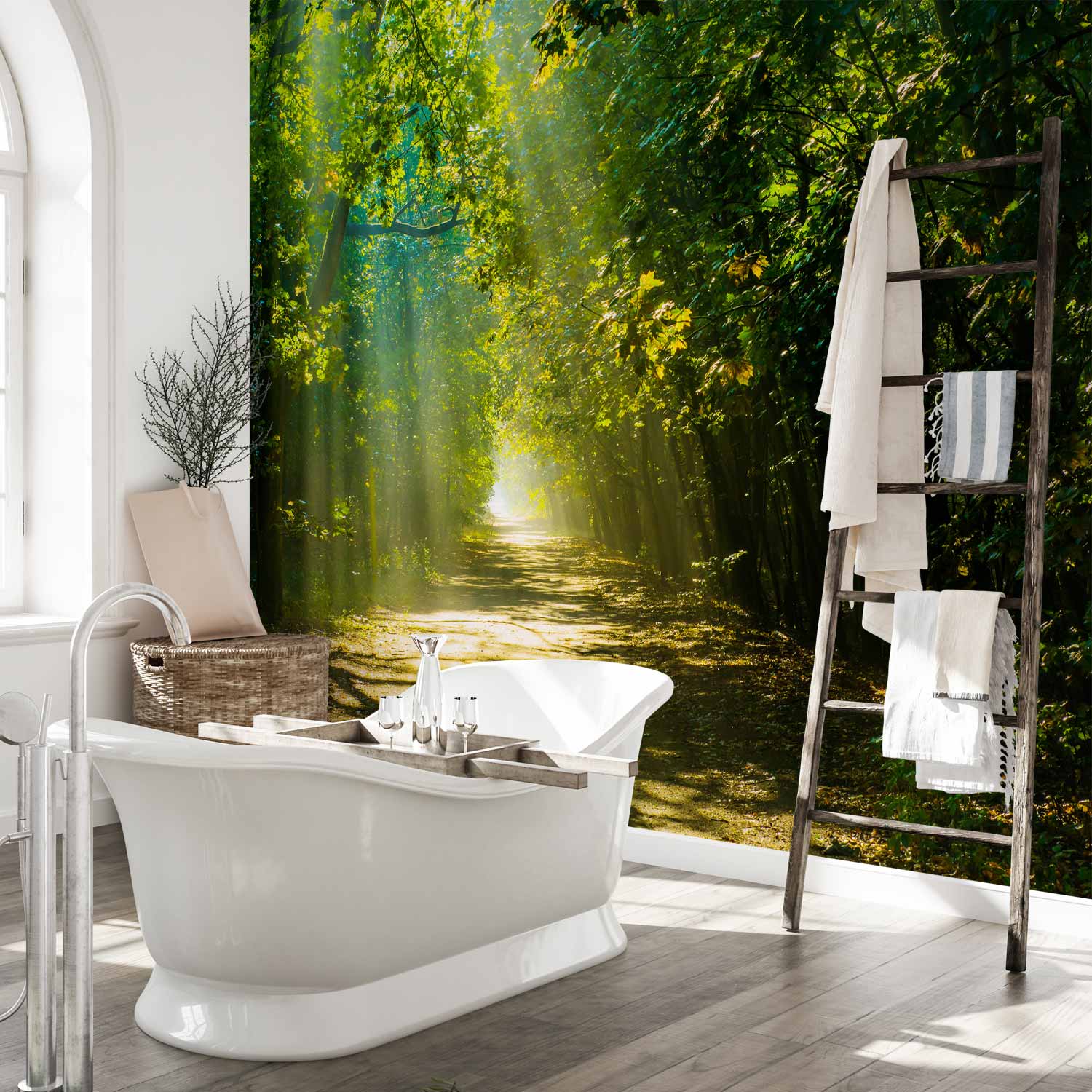 Forest Road in Sunlight Wall Mural