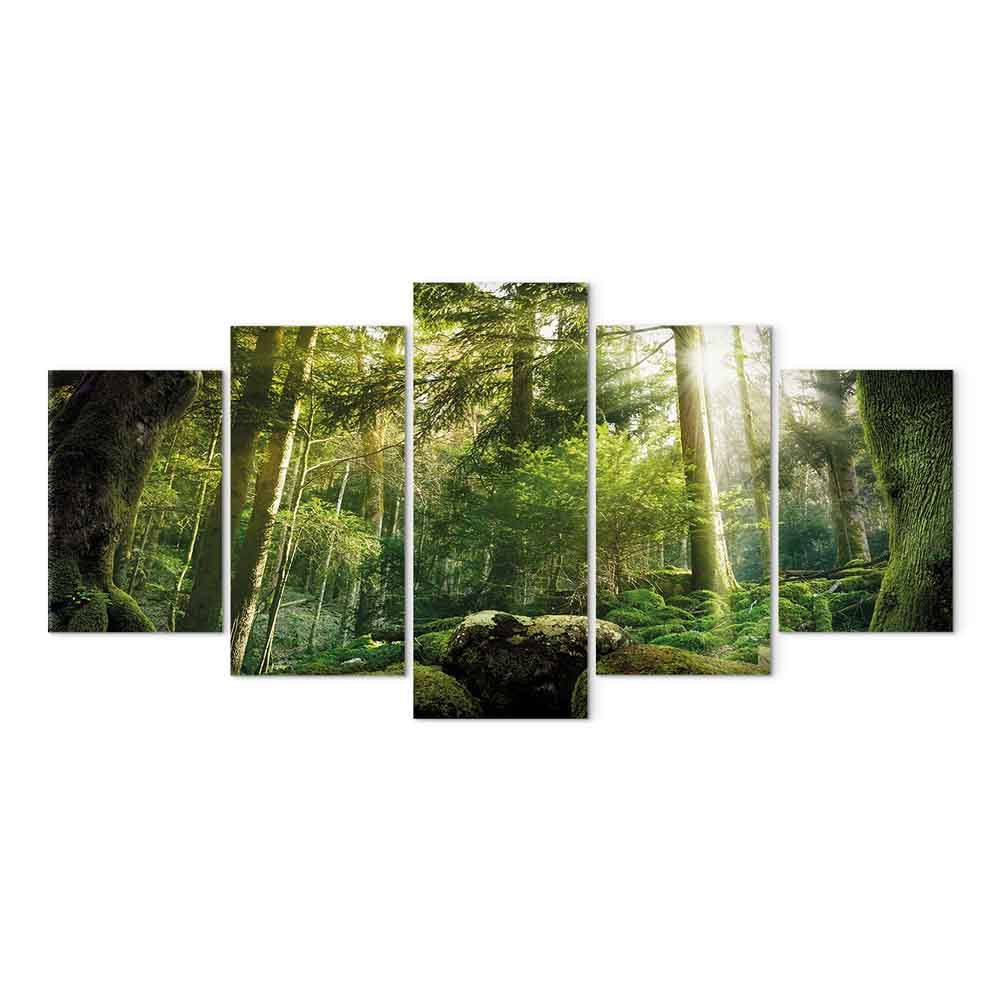 Misty Forest Trees Landscape Canvas Print