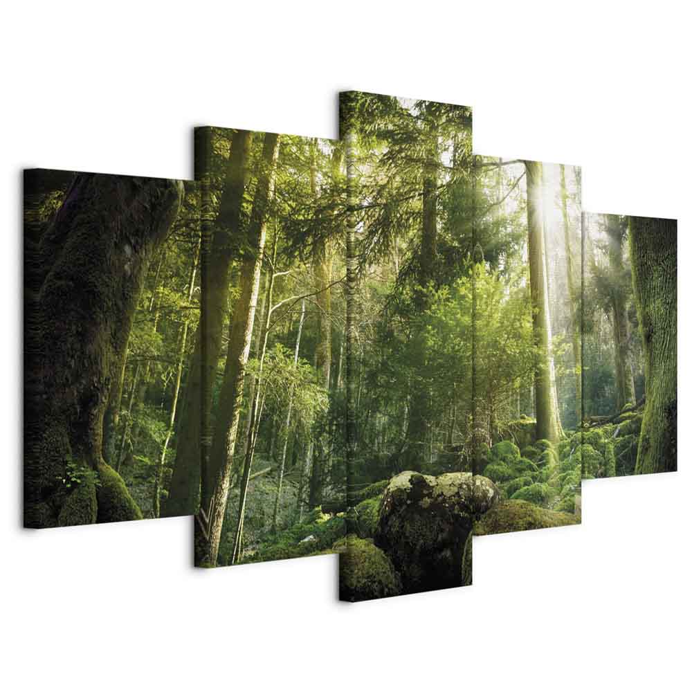 Misty Forest Trees Landscape Canvas Print