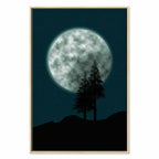 Full Moon Night Sky Trees Landscape Canvas Print