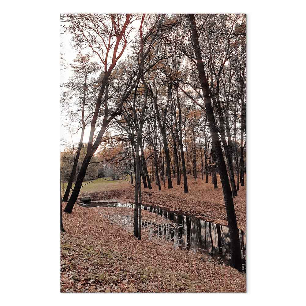 Autumn Forest Path Landscape Canvas Print