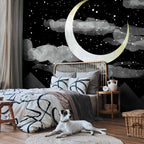 Night Sky Stars and Clouds Wall Mural