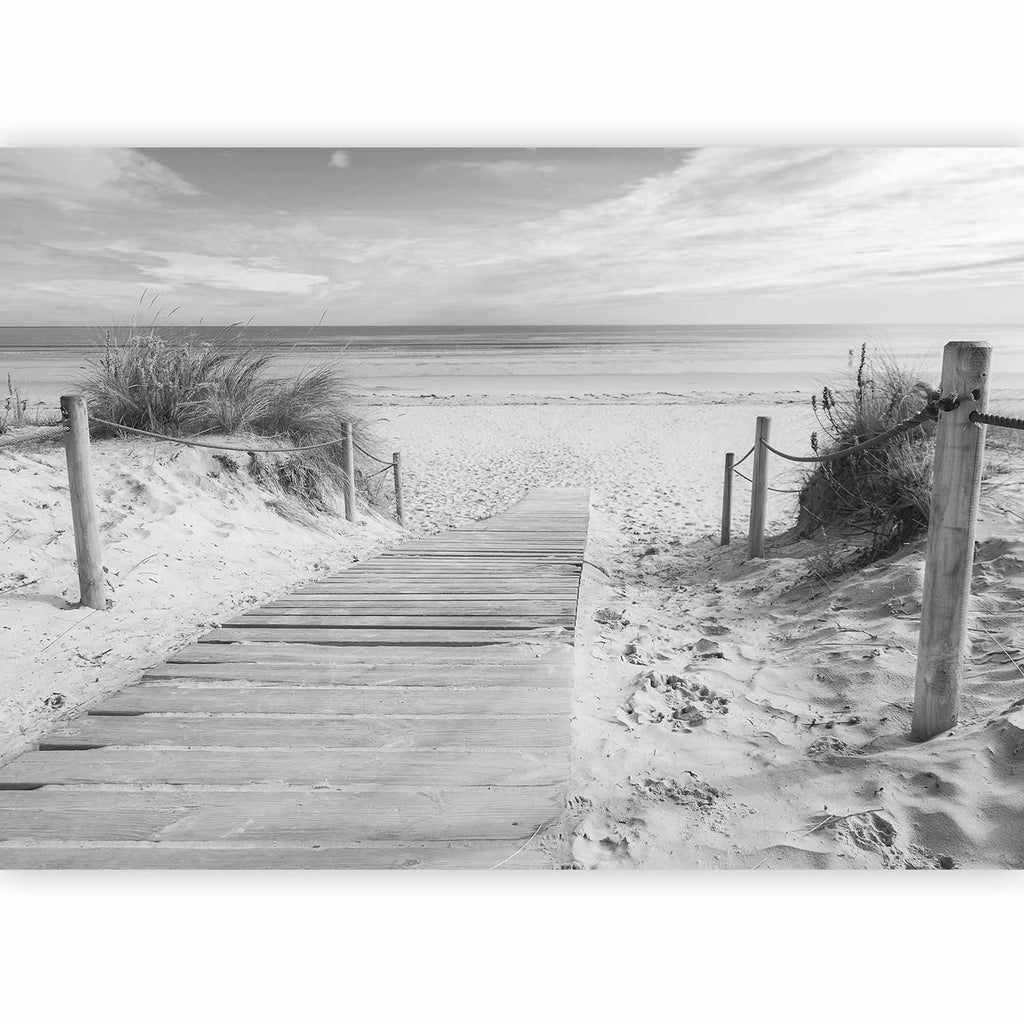 Black and White Beach Sea Wall Mural
