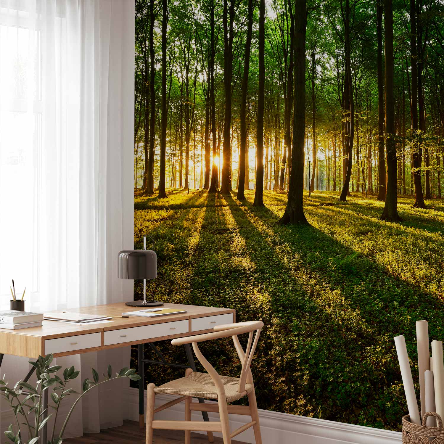 Morning Forest Green Nature Wall Mural