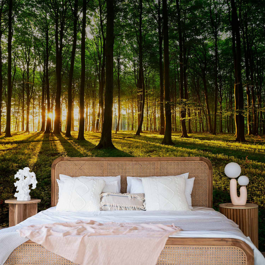 Morning Forest Green Nature Wall Mural