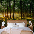 Morning Forest Green Nature Wall Mural